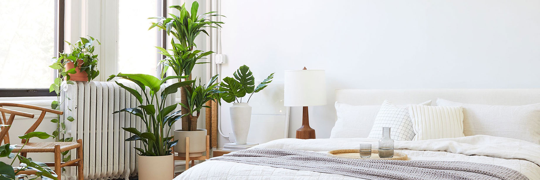 انتخاب با شما، سورپرایزش با ما